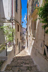 Fototapeta na wymiar a narrow street in the summer resort city