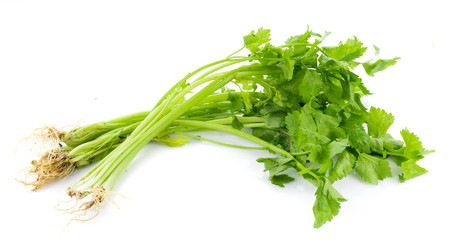 Fresh celery isolated on white background