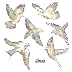 Set of hand drawn birds with golden sparkles isolated on white background. Vector illustration.