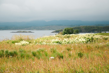 Norway. Lake and meadow