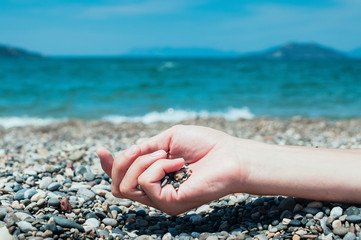 Closeup view of a hand holding pebbles on a beach, turquoise sea water in the background. Summer holiday concept