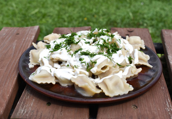 Dumplings with sour cream and greens on the background of nature