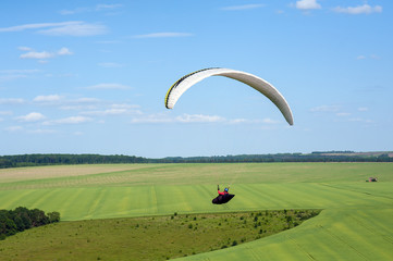Paragliding over the green field in summer sunny day. One paraglider fly over green field near...