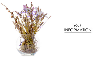 Dried flowers in a vase decor pattern on a white background isolation