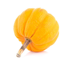 Pumpkin on white background