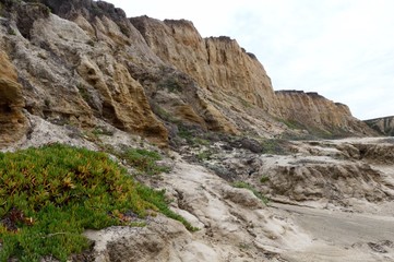 Fototapeta na wymiar Sandy Cliff on a beach in California 