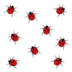 group of ladybugs illustration