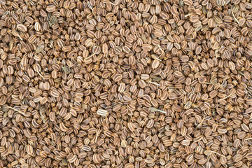 celery seed background