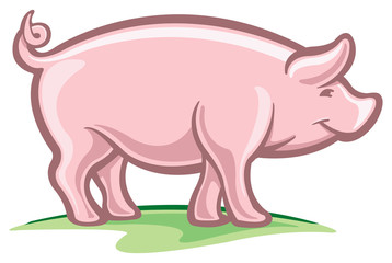 Pig