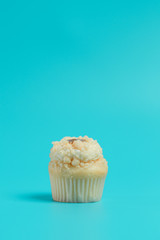 Birthday Cake On Color For The Background