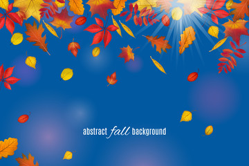Obraz na płótnie Canvas Autumn leaves isolated on clear blue sky background. Abstract fall sunny background for your greeting cards design or website. Vector illustration