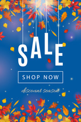 Autumn sale template with leaves isolated on clear blue sky background. Abstract fall sunny background for your discount banner design. Vector illustration