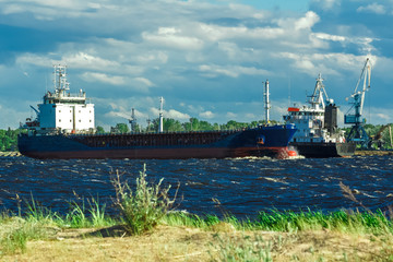 Blue bulk carrier