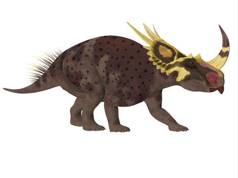 Brown Rubeosaurus Dinosaur Side Profile - Rubeosaurus was a Ceratopsian herbivorous dinosaur that lived during the Cretaceous Period of North America.