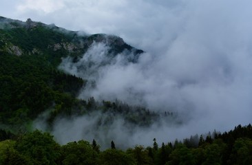 Fototapeta na wymiar Foggy Mountain