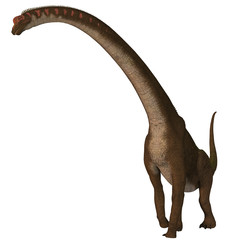 Giraffatitan Dinosaur on White - Giraffatitan was a herbivorous sauropod dinosaur that lived in Africa during the Jurassic Period. © Catmando