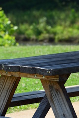 Fototapeta premium Picnic Table at the Park