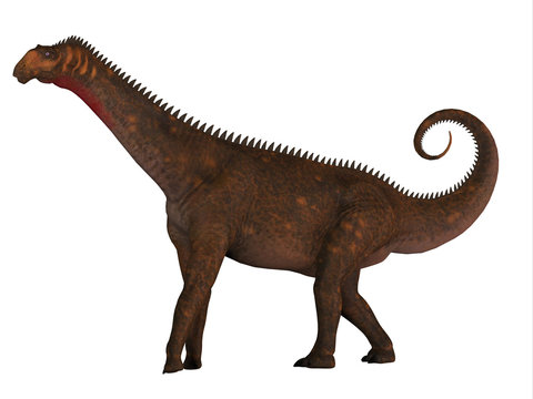 Mierasaurus Dinosaur Side Profile - Mierasaurus was a herbivorous sauropod dinosaur that lived in Utah, USA during the Cretaceous Period.
