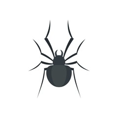 Black house spider icon. Flat illustration of black house spider vector icon for web isolated on white