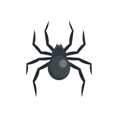 Black widow spider icon. Flat illustration of black widow spider vector icon for web isolated on white