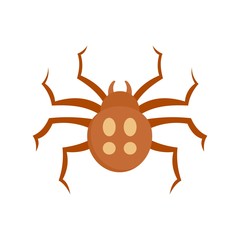 Garden spider icon. Flat illustration of garden spider vector icon for web isolated on white