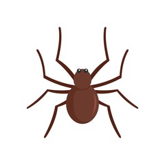 Grass spider icon. Flat illustration of grass spider vector icon for web isolated on white