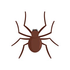 Grass spider icon. Flat illustration of grass spider vector icon for web isolated on white