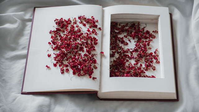 Vintage books with dried red flowers on a white bed. Concept Nostalgic and remembrance vintage background