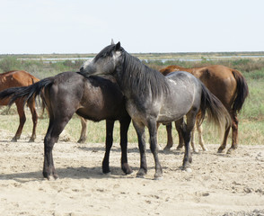 Obraz premium SONY DSC