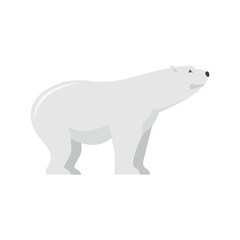 Watching of polar bear icon. Flat illustration of watching of polar bear vector icon for web isolated on white