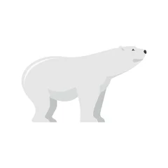 Foto op Canvas Watching of polar bear icon. Flat illustration of watching of polar bear vector icon for web isolated on white © anatolir