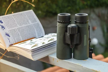 Deurstickers Binoculars and Bird Guide © Cristiano Gala