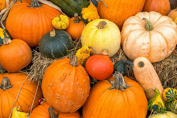 Dsplay of fall gourds and pumpkins on bales of straw or hay.