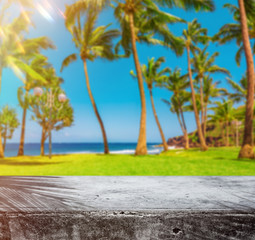 Empty rustic concrete picnic table surrounded by coconut trees near Grand Anse beach - Reunion island