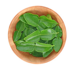 Top view of Bergamot leaf isolated on the white background.