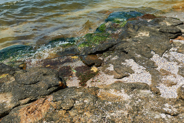 beautiful sea landscape, closeup of stone on the beach, sea coast with high hills, wild nature