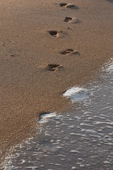 little footsteps in the sand