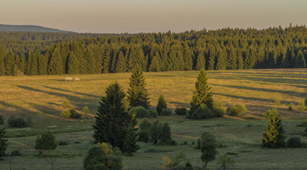Slavkovsky les mountains in summer sunset time