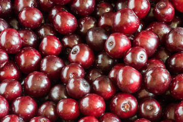 Fresh Polish cherries. Indoor, background. Healthy food.