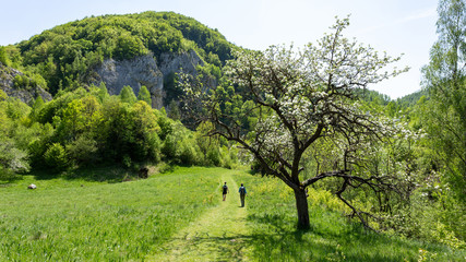 Exploring the beautiful landscape in Transylvania, Romania on a sunny spring day.