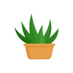 Aloe room plant icon. Flat illustration of aloe room plant vector icon for web isolated on white