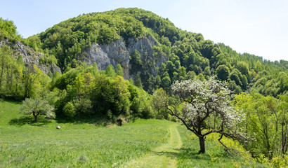 Beautiful landscape in the Transylvania part of Romania