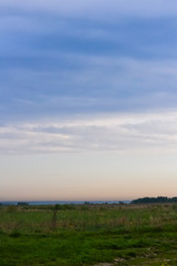 Grass field in the early morning. The sky with the morning glow
