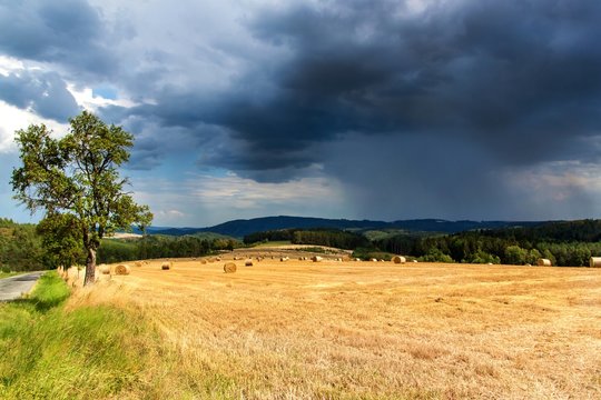 Summer storm the field. Straw bales in field at the forest. Summer day at the farm in the Czech Republic. Harvest corn. Scenery Moravian Highlands.