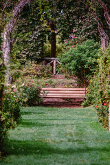 Pathway to a park bench in a flower garden