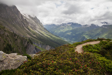 Fototapeta premium View to the Mont Blanc in cloudy time.
