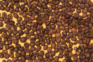 
coffee seeds with colorful backgrounds