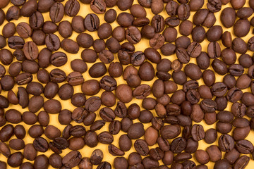 
coffee seeds with colorful backgrounds