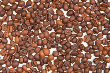 
coffee seeds with colorful backgrounds