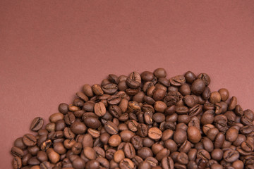 
Coffee seeds with colorful backgrounds